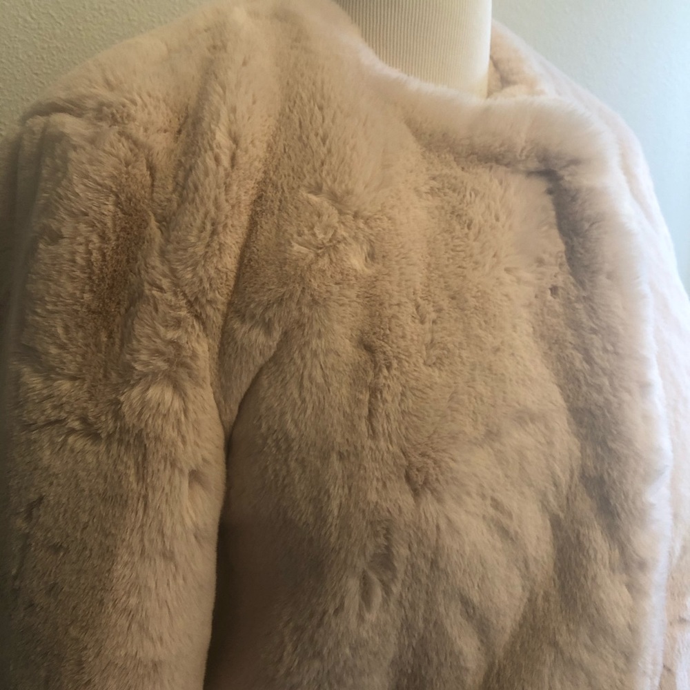 APPARIS-NWT Light Pink Oversized Fluffy Coat - Picture 12 of 15